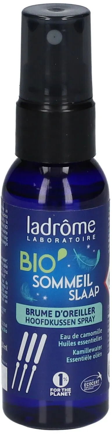 Ladrôme Bio Schlaf Slaap Kopfkissen Brûme