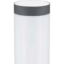 GLOBO LED Wand Fackel Lampe App Sprach Handy Steuerung Außen Leuchte dimmbar im Set inkl. RGB LED Leuchtmittel