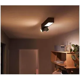 Philips Hue White & Color Ambiance Centris Spot 2-flg. schwarz