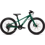 Specialized Riprock 20 Zoll RH 0 cm Gloss Pine Green/Dune White/California Sunshine