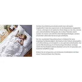 Traumnacht Basic 2 in 1 Duo 120 x 200 cm H2/H3