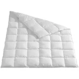 Traumschlaf Daunendecke Arktis medium, Füllung: 90% Daunen, 10% Federn 200x220 cm - weiß