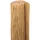 Tetzner & Jentzsch Schilfrohrmatte 600 x 120 cm Natur
