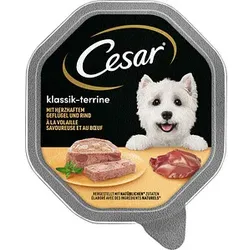 Cesar® Hunde-Nassfutter mit herzhaftem Geflügel & Rind 14x 150,0 g