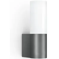 Steinel L 605 anthrazit