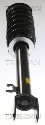 TRISCAN Stoßdämpfer 870581106 für Tesla