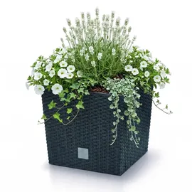 Prosperplast Rato Low 40 x 40 x 40,8 cm anthrazit