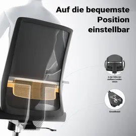 Wiltec Ergonomischer Bürostuhl Netzstoff