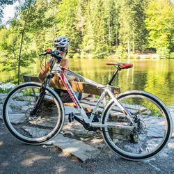Galano Toxic Mountainbike Hardtail 29 Zoll für Erwachsene ab 175 cm MTB Fahrrad 21 Gang Federgabel Scheibenbremsen (orange)