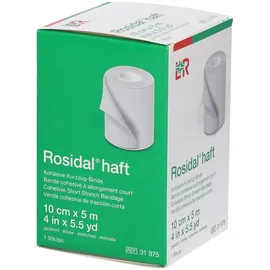 Lohmann & Rauscher Rosidal haft Kompressionsbinde 10 cmx5 m