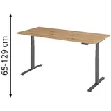 baselite Schreibtisch Asteiche / Grau