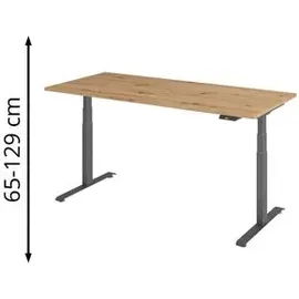 baselite Schreibtisch Asteiche / Grau