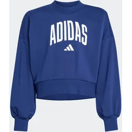 adidas Crew Sweatshirt Blue 164
