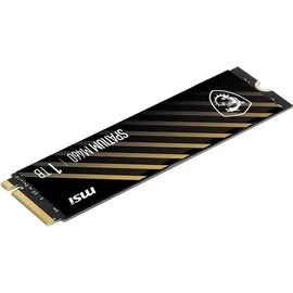 MSI SPATIUM M460 PCIe 4.0 NVMe M.2 1TB - Interne Solid-State-Festplatte, 5000 MB/s Lesen und 4500 MB/s Schreiben, 3D NAND, integrierte Datensicherheit, Center, 600 TBW