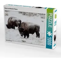 Calvendo Bisons am Blacktail Plateau (Puzzle)