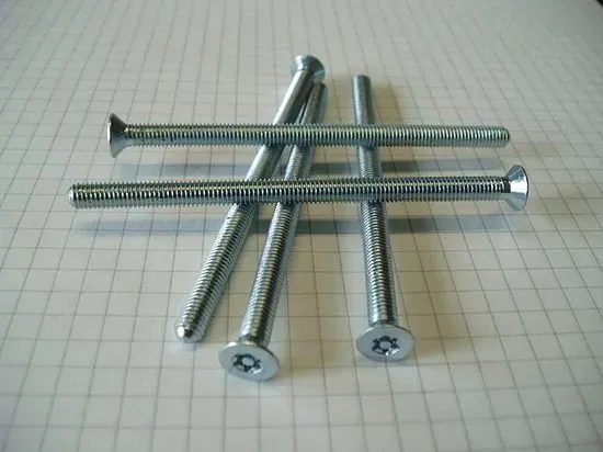 Sicherheitsschrauben M5x85 mm TX25/IS