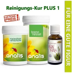 Reinigungs-Kur PLUS 1 (Set)