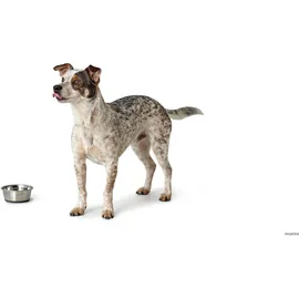 Hunter Futternapf Edelstahl, XS