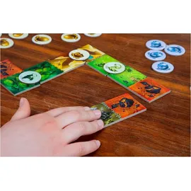 Pegasus Spiele Dragomino