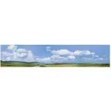 FALLER Modellhintergrund Schwarzwald-Baar 180514 H0/TT/N