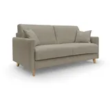 divani.store Edgar Schlafsofa, Aus Wasserfestem Felis Stoff T03 160 cm, (mat. 120x197) Braun,