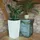 Prosperplast Urbi Square 33 x 33 x 61 cm weiß