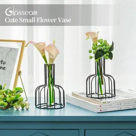 luxuskollektion 2er Set Mini Glasvasen Schwarz - Modernes Hydroponik Blumenvase für