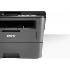 Brother DCP-L2530DW