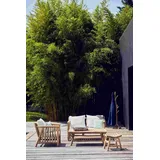 jan kurtz Fred Beige Teak 120 x 45 x 65 cm