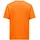 Salewa Pedroc Dry Light Kurzarm-T-Shirt Turmeric L