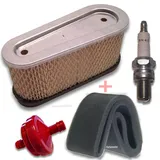 Service Tecumseh OHV 120 125 130 135 145 150 155 160 165 170 175 Enduro OV358EA
