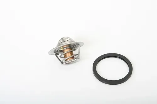 TRISCAN Thermostat, Kühlmittel 862018782 für SMART Suzuki NISSAN Mercedes MITSUBISHI