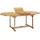 vidaXL Gartentisch Ausziehbar 150-200 x 100 x 75 cm Braun