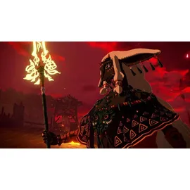 Hyrule Warriors: Age of Imprisonment (Nintendo Switch 2)