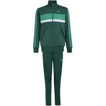 adidas Tiberio Trainingsanzug Collegiate Green/Court Green 140