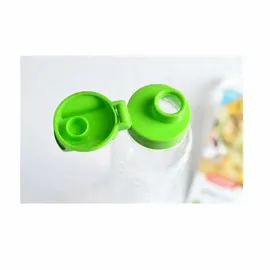 Curver Flasche Smart To Go Transparent/Grün 0,45 l