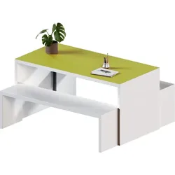 Wangentisch mit 2 Sitzbänken, Set