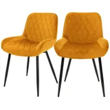 ML-Design 2er Set Esszimmerstühle Senfgelb, Sitzfläche aus Samt Metallbeine
