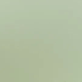 Beliani Esszimmerstuhl 2er Set FONDA II