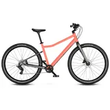 Explore 6 26 Zoll neon coral