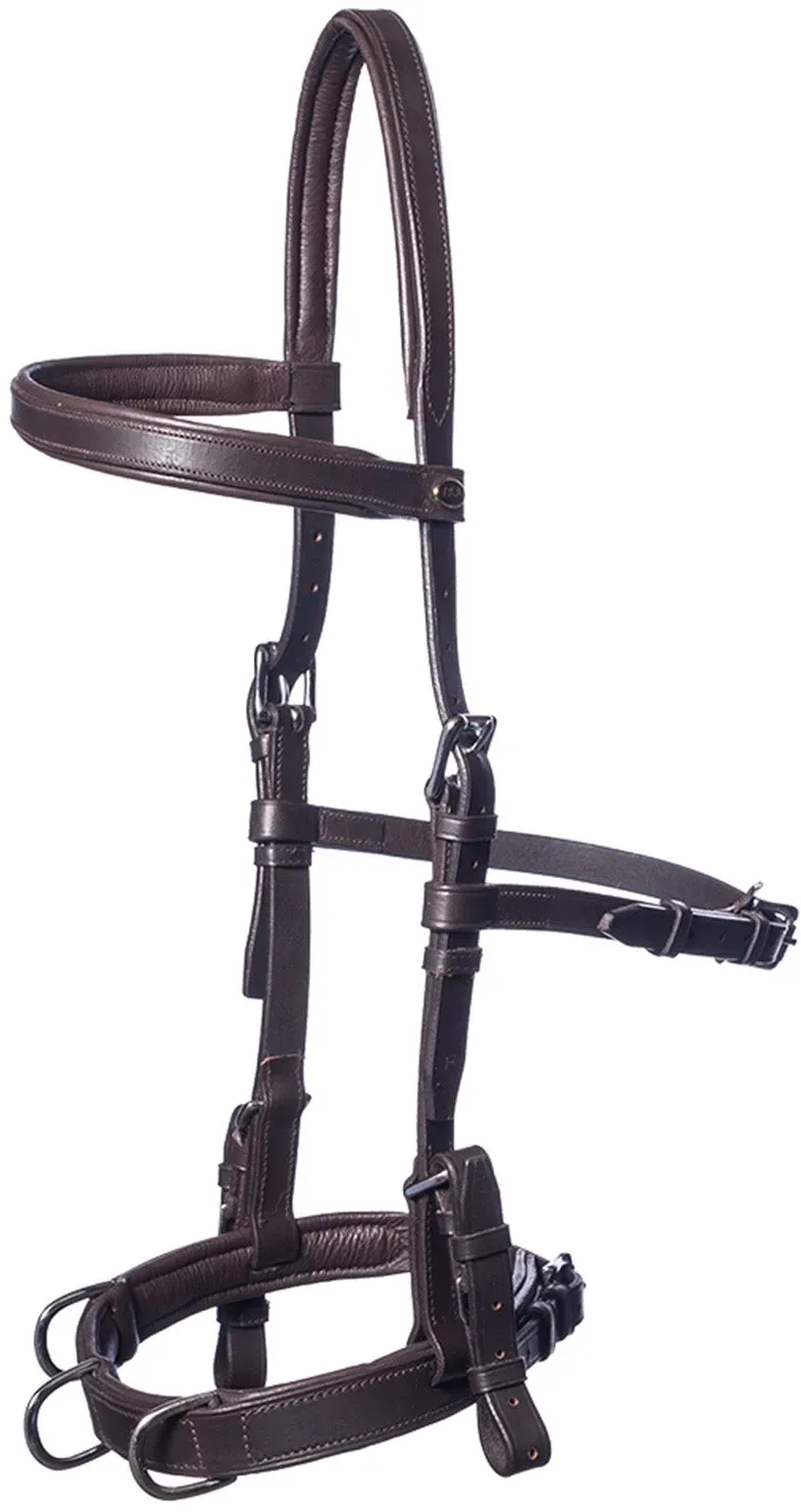 F.R.A. Freedom Riding Articles Baro Kappzaum, Leder