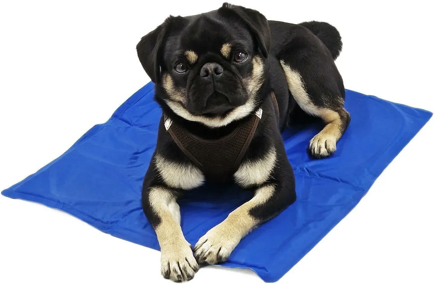 Kühlmatte für Hunde - Gelmatte Kühlpad Kühlkissen Kühlauflage für Hunde - versch. Größen