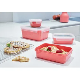 Emsa Clip & Close rechteckig koralle 0,2 l 4-teiliges Set