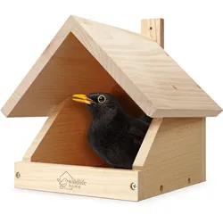 Amsel-Nistkasten – Wetterfester Nistplatz für Amseln & Halbhöhlenbrüter