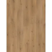 Parador Basic 600