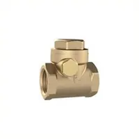 Riegler 158067-RK114MSE Rückschlagklappe, DN 32, Messing, G 1 1/4,