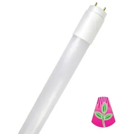 BIOLEDEX GoLeaf LED Pflanzen-Röhre Vollspektrum 150cm T8 G13 für Pflanzenbeleuchtung