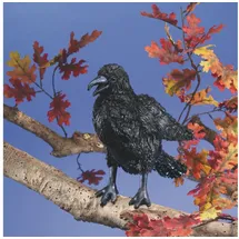 Folkmanis Handpuppen Folkmanis Crow / Krähe
