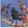 Folkmanis Handpuppen Folkmanis Crow / Krähe