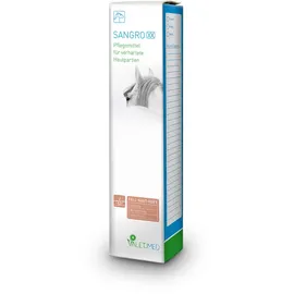 Valetumed Sangro XX, gegen Sarkoide - 55 ml,
